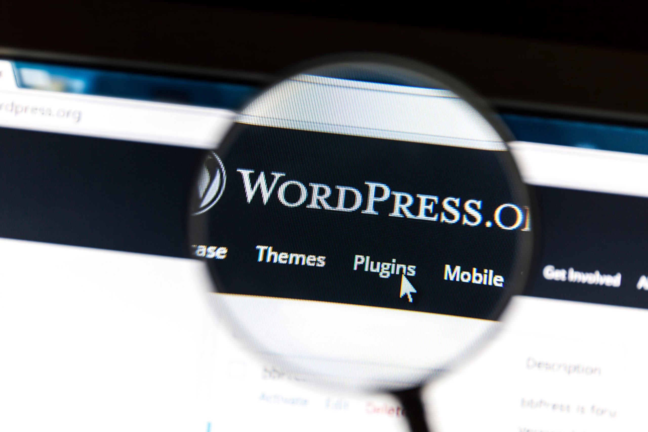 WordPress