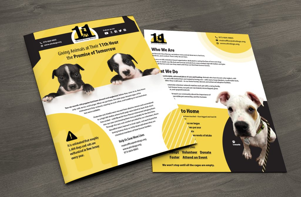 Eleventh Hour Rescue, non profit animal rescue organization, sponsorship flyer