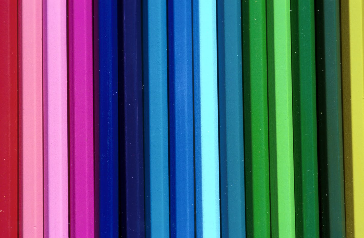 Line of various colored pencils