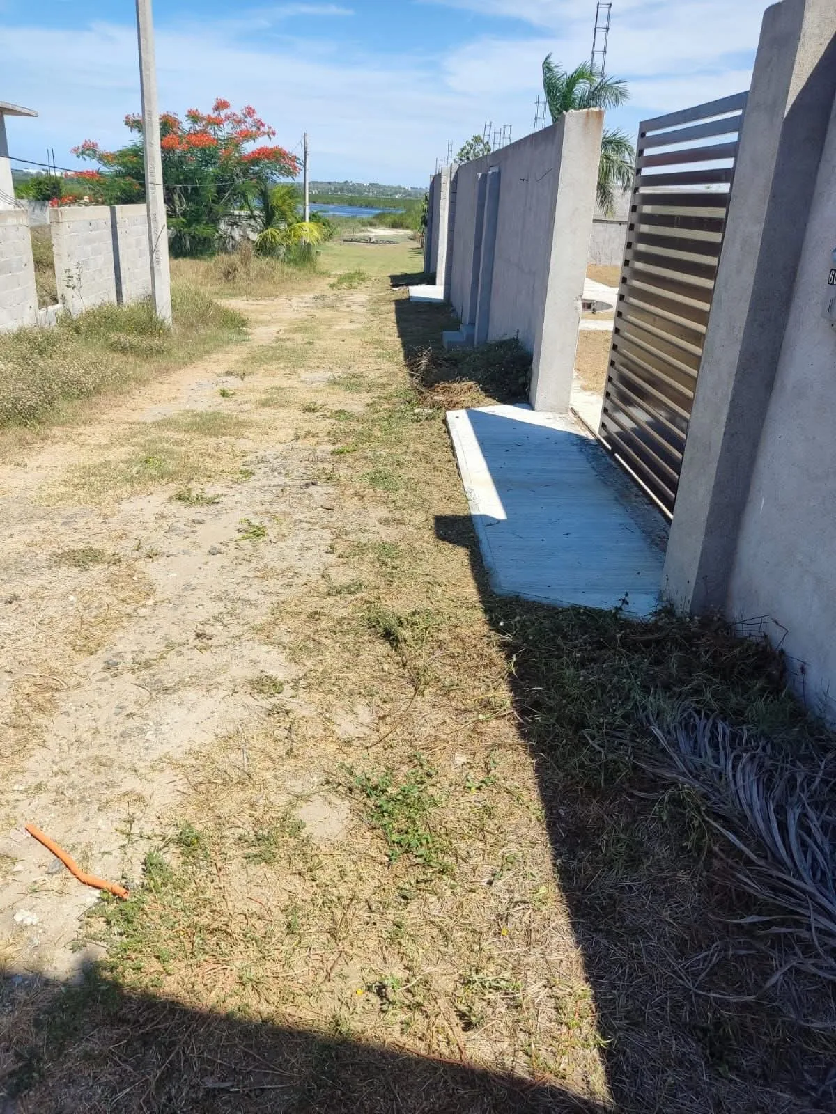 TERRENO EN VENTA EJIDO VEGA DE ESTÉREO